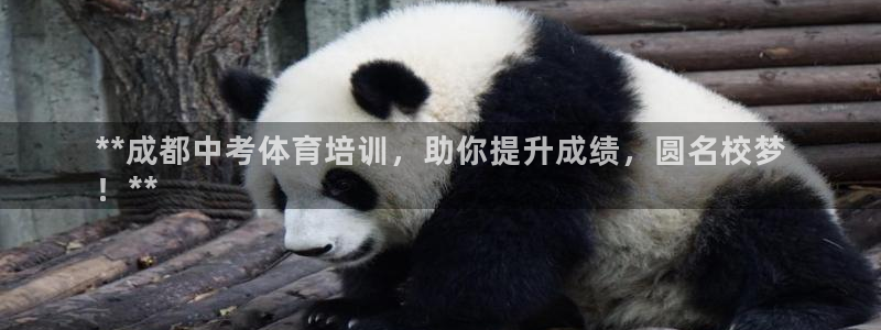 欧陆娱乐百科百度：**成都中考体育培训，助你提升成绩