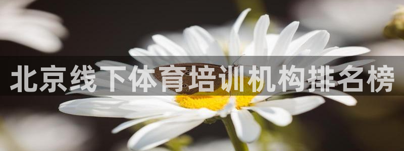 欧陆娱乐共创美好：北京线下体育培训机构排名榜