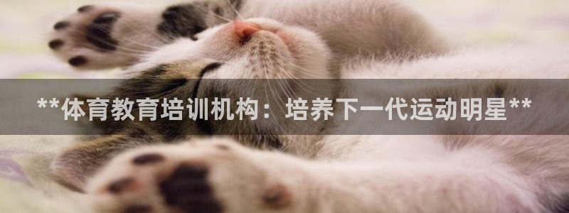欧陆娱乐怎么注册账号登录：**体育教育培训机构：培养