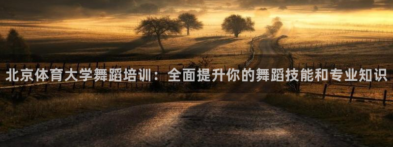 欧陆娱乐能不能玩手游：北京体育大学舞蹈培训：全面提升