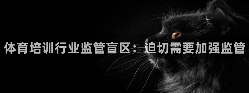 欧陆娱乐官网入口下载：体育培训行业监管盲区：迫切需要加强监管