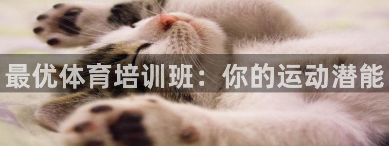 欧陆娱乐平台登陆地址在哪看：最优体育培训班：你的运动