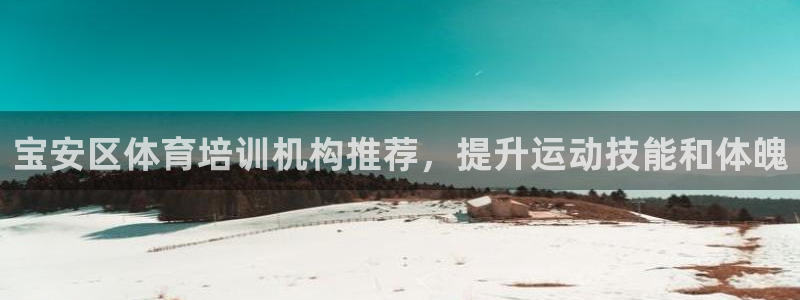 欧陆娱乐app攻略下载：宝安区体育培训机构推荐，提升