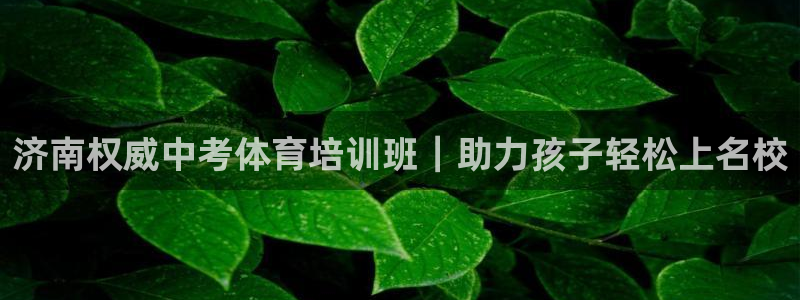 欧陆娱乐平台咋样啊赚钱：济南权威中考体育培训班｜助力