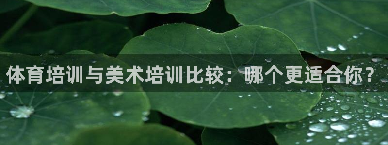 欧陆注册码：体育培训与美术培训比较：哪个更适合你？