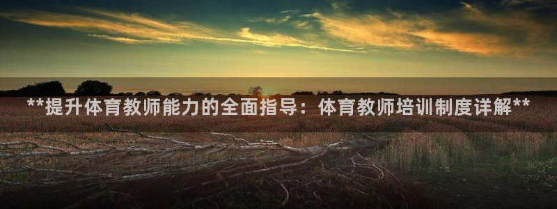 欧陆娱乐访问：**提升体育教师能力的全面指导：体育教