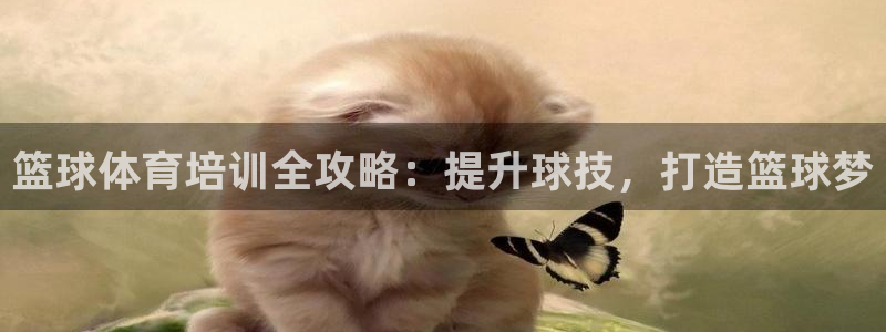 欧陆娱乐合法吗：篮球体育培训全攻略：提升球技，打造篮