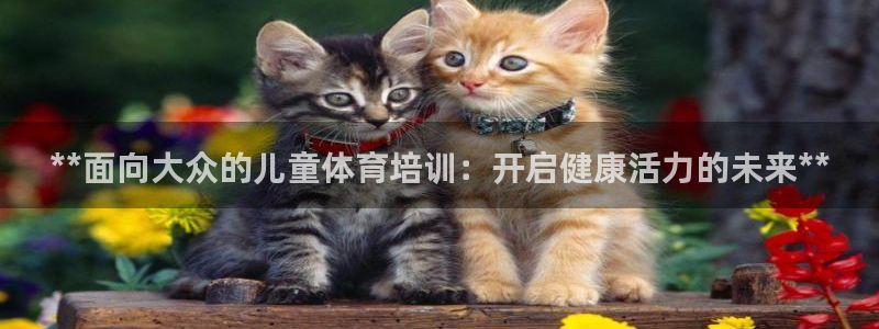 欧陆娱乐平台优势：**面向大众的儿童体育培训：开启健